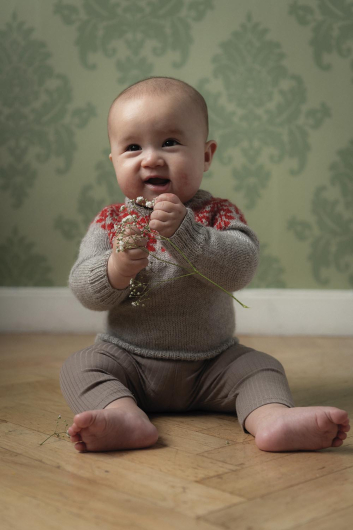 Gerbera - Babypullover