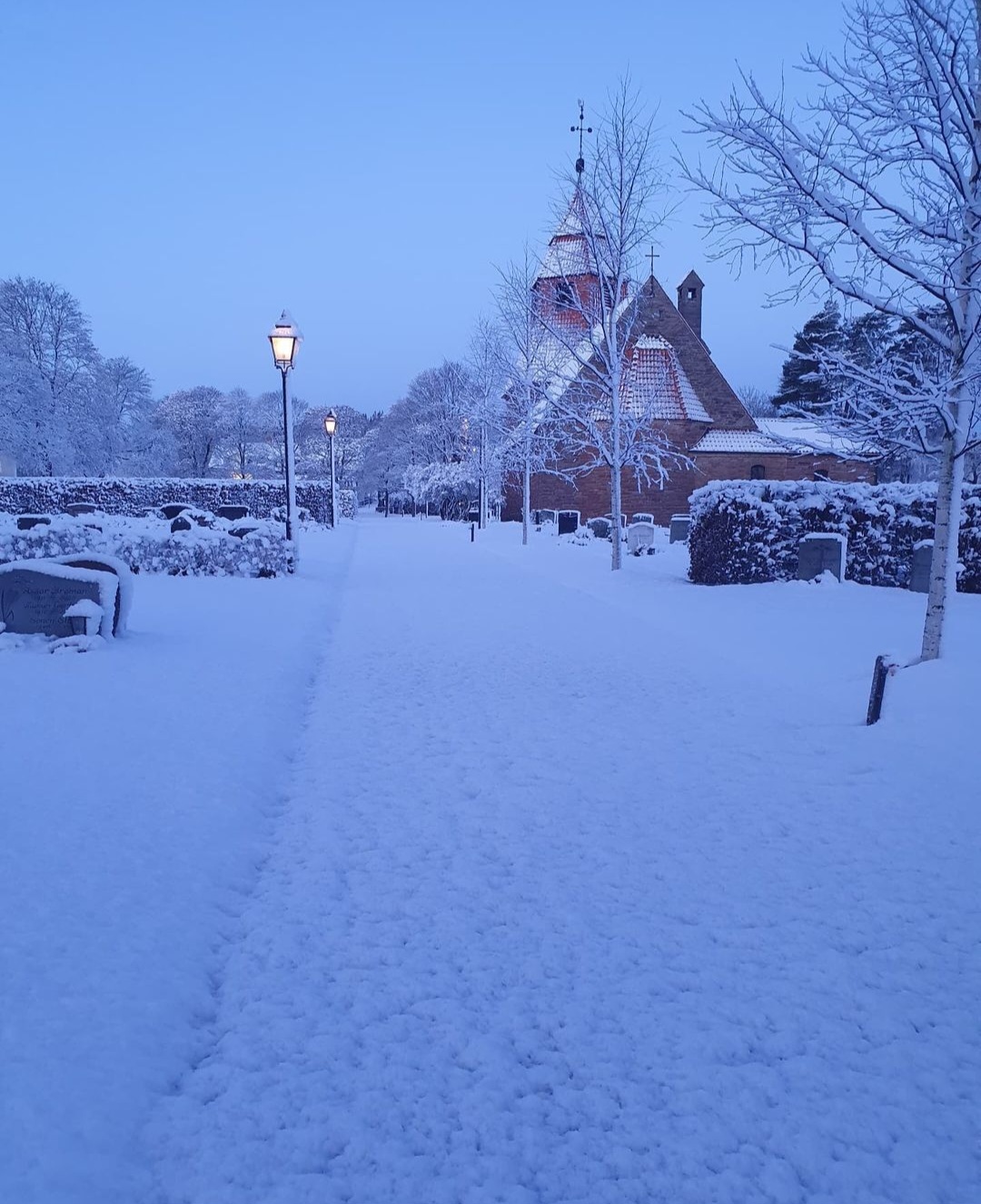 Screenshot_20241127_084037_Instagram